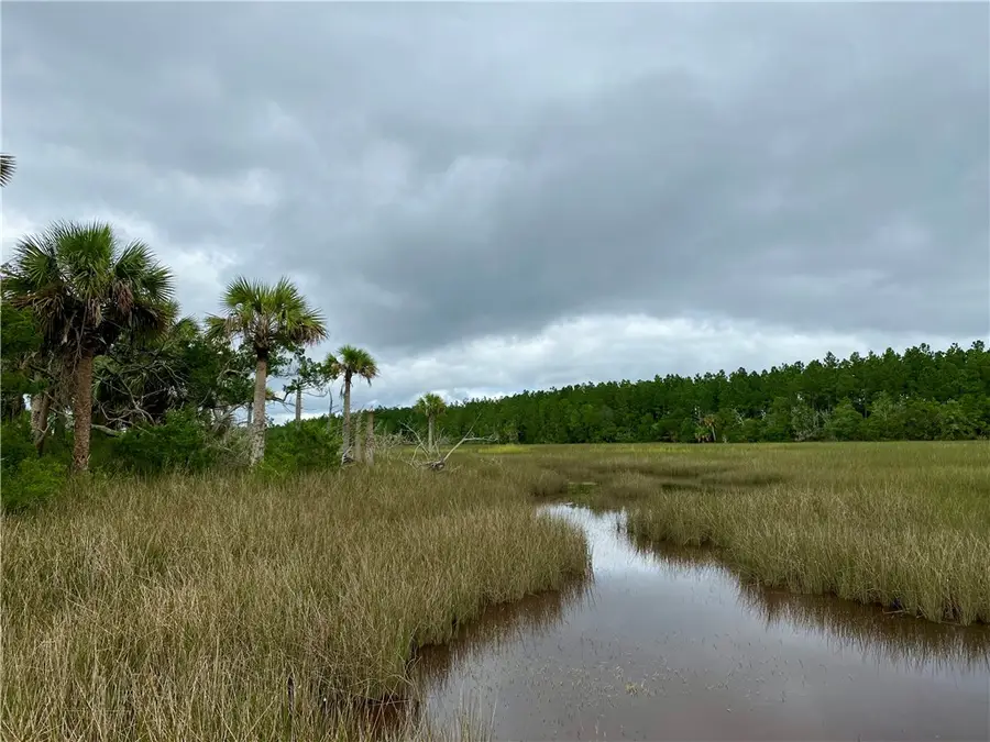 0 Timber Landing Road, Brunswick, GA 31523 - #2