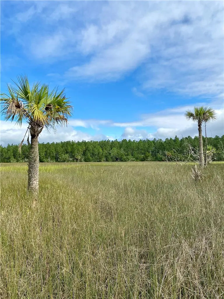 0 Timber Landing Road, Brunswick, GA 31523 - #3