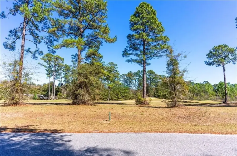 xx Sapelo Park Drive Ne, Townsend, GA 31331 - Image #2