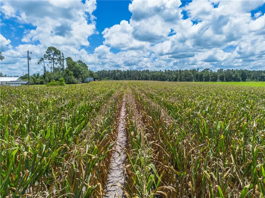 598 Teakwood Road, Alma, GA 31510 - Image #2