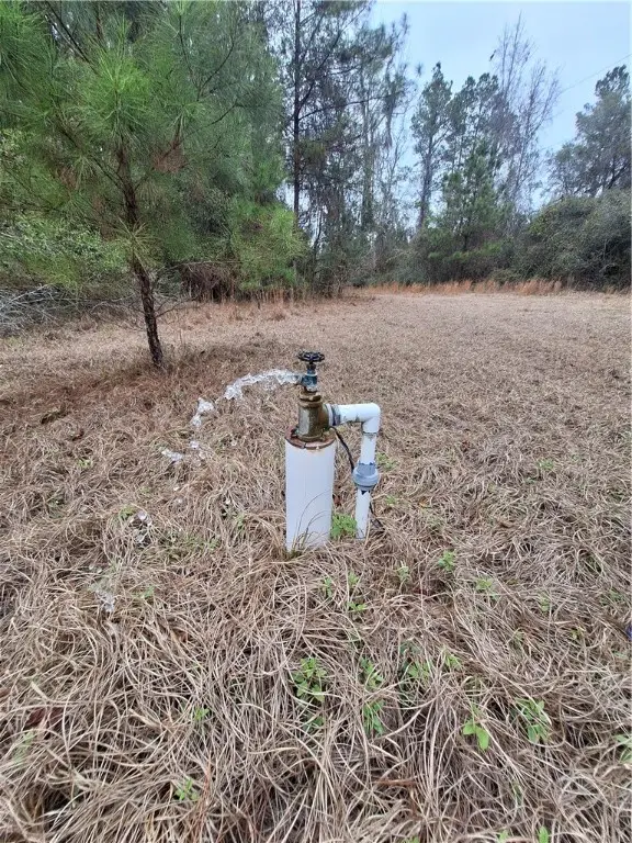 2447 Hwy 259 Highway, Waynesville, GA 31566 - #3