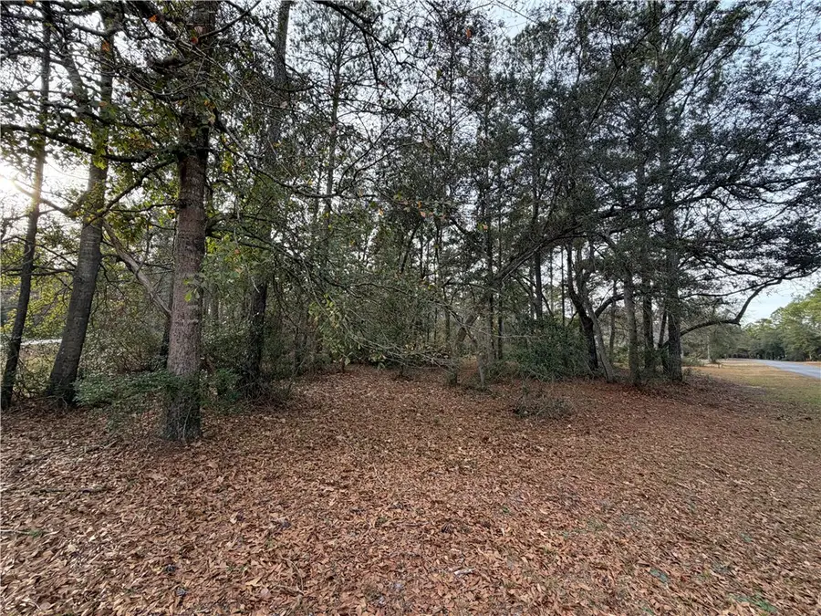 682 Wood Stork Drive Ne, Townsend, GA 31331 - #2