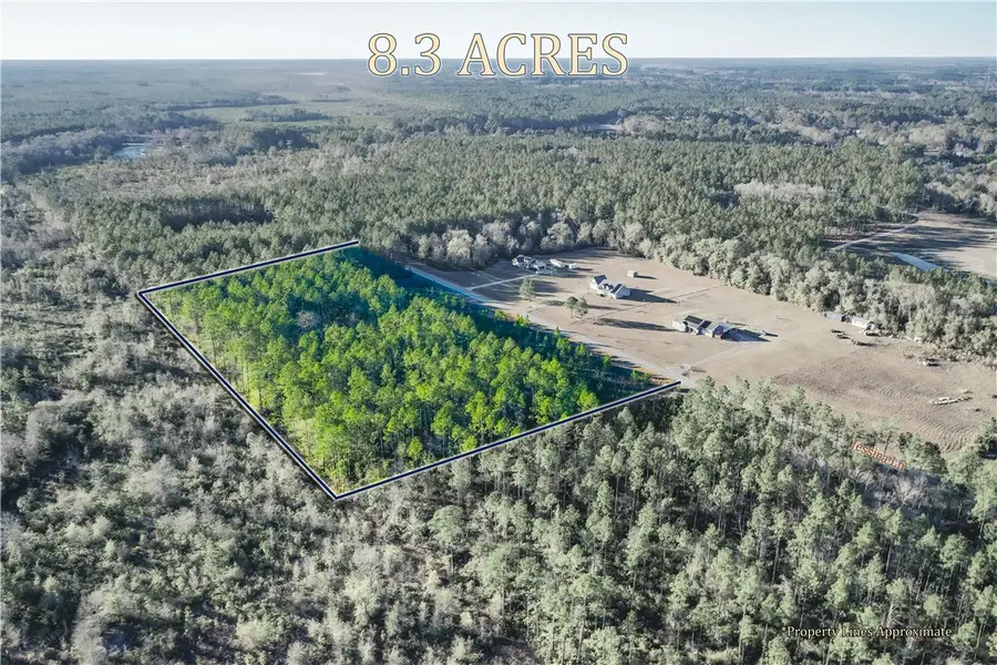 Tract 2 Jessica Lane, Patterson, GA 31557 - #3
