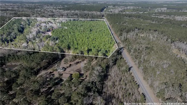 30.46 acres Minton Road, Townsend, GA 31331