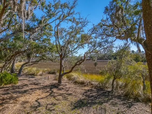 107 Davison Lane, Saint Simons Island, GA 31522 - #3