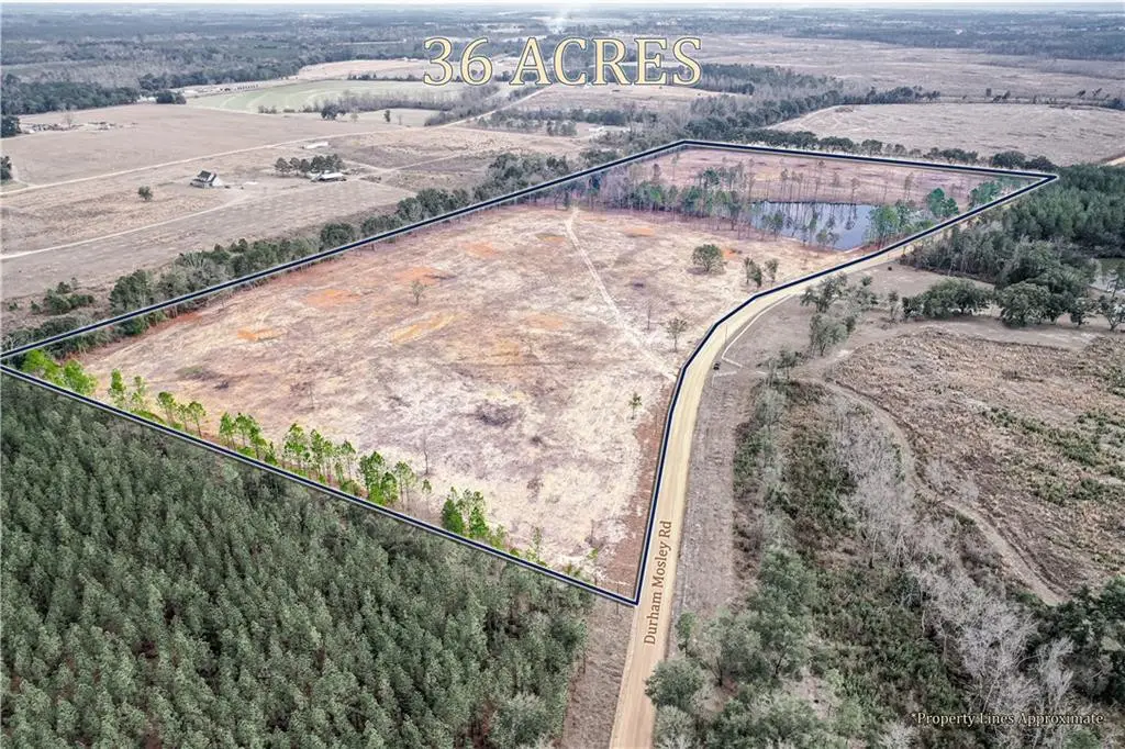 00 Durham Mosley Road, Cedar Crossing, GA 30473 - #1