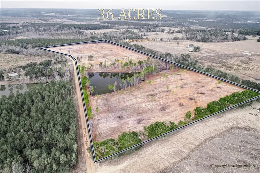 00 Durham Mosley Road, Cedar Crossing, GA 30473 - #2