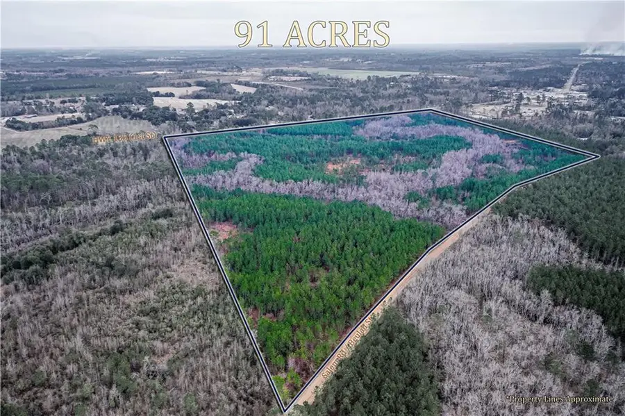 00 Ga Hwy 135, Uvalda, GA 30473 - #2