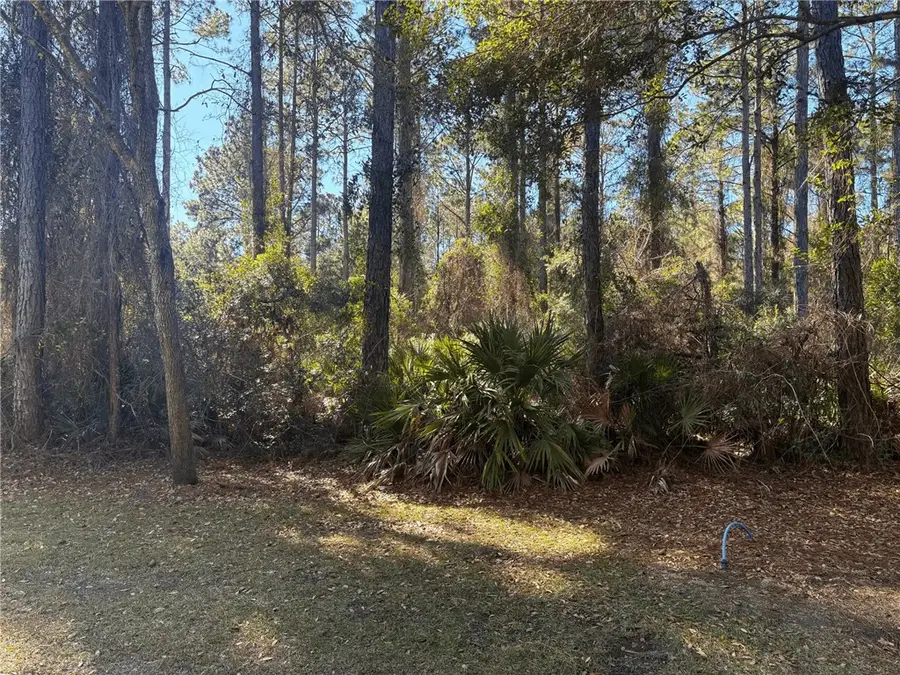 0 Gamefish Lane, Saint Marys, GA 31558 - Image #2