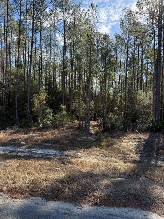 00 (lot 24) Heritage Circle, Hortense, GA 31543 - Image #1