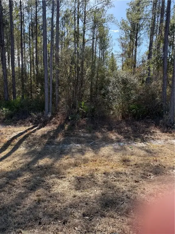 00 (lot 25) Heritage Circle, Hortense, GA 31543