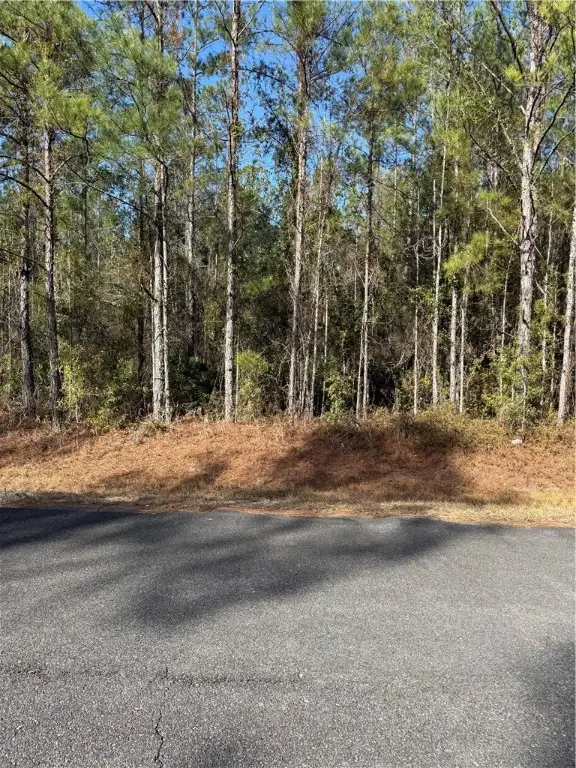 00 (lot 68) Heritage Circle, Hortense, GA 31543