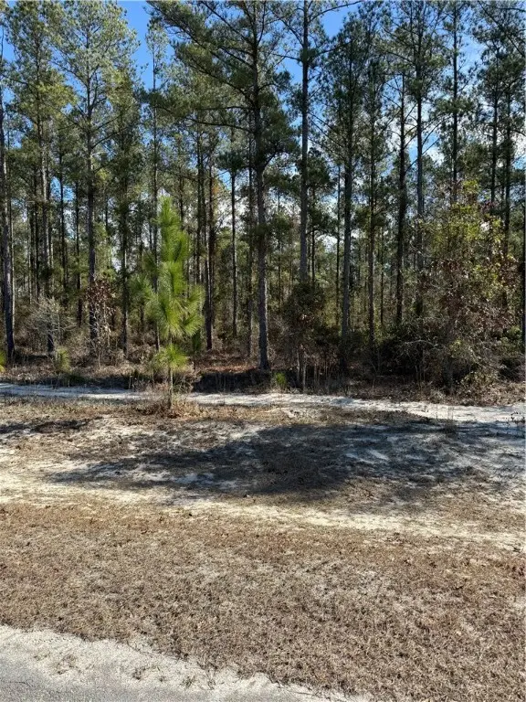 00 (lot 75) Heritage Circle, Hortense, GA 31543 - Image #1