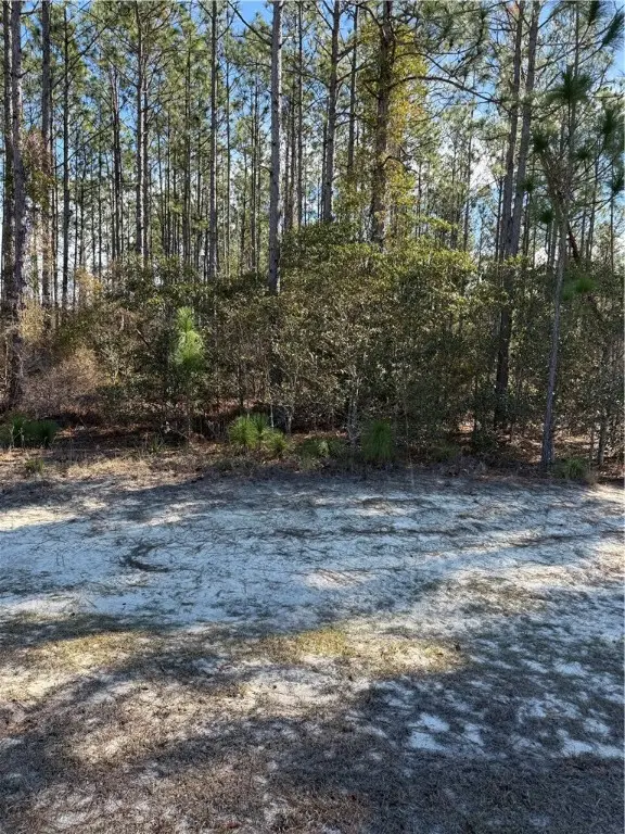 00 (lot 78) Heritage Circle, Hortense, GA 31543