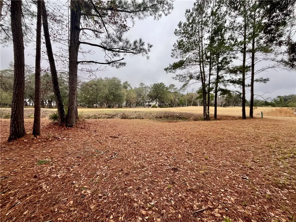 Lot 880 Oak Forrest Drive Ne, Townsend, GA 31331 - #1