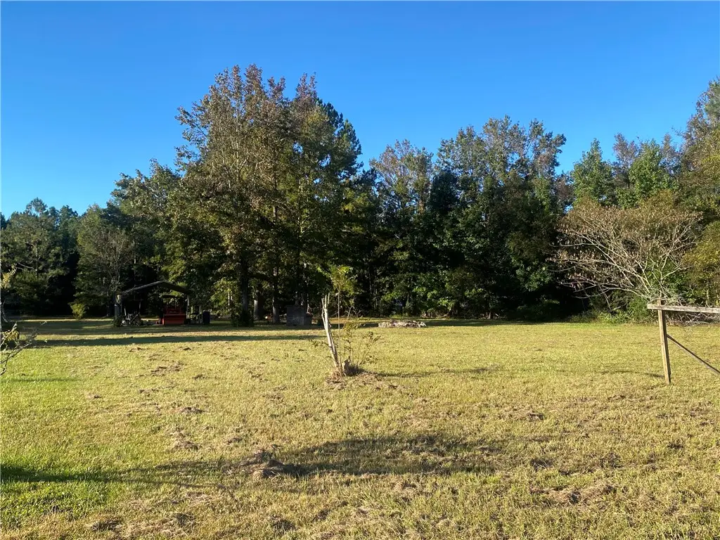 Shellman Bluff (Lot A) NE Shellman Bluff Road, Townsend, GA 31331 - #1