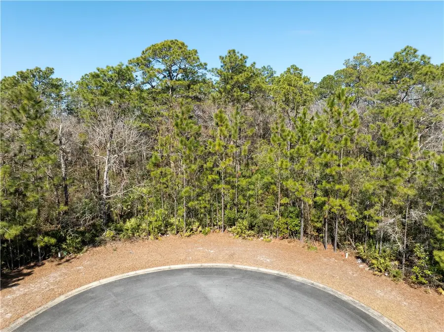 101 Bluebill Trail, Brunswick, GA 31523 - #2