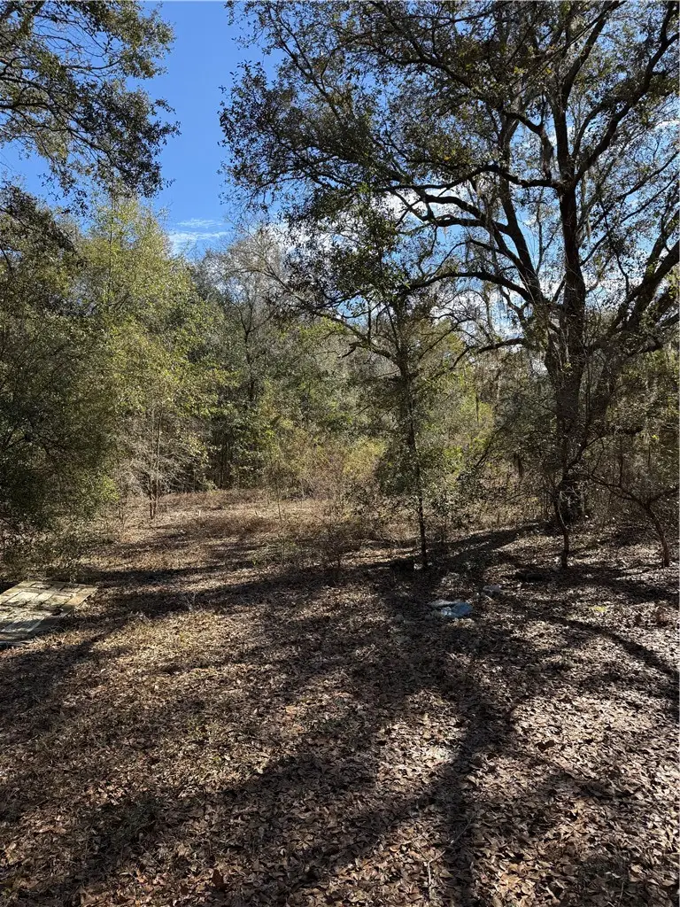 00 Twin Flower Trail, Hortense, GA 31543 - Image #3