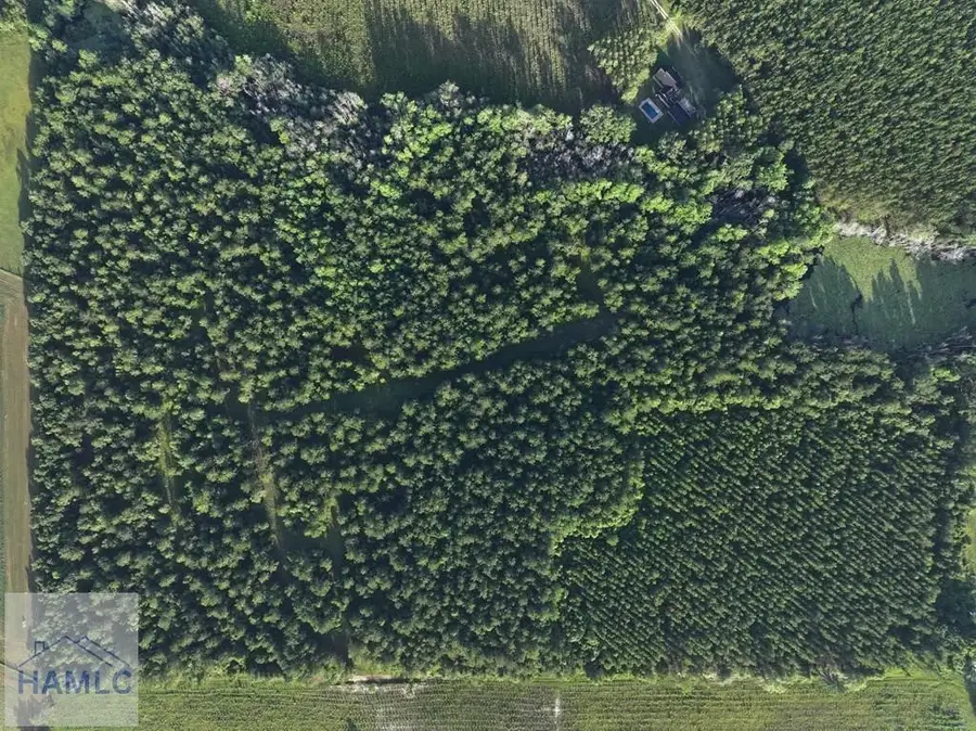 Tract 3 Oglethorpe Road, Jesup, GA 31545 - Image #2