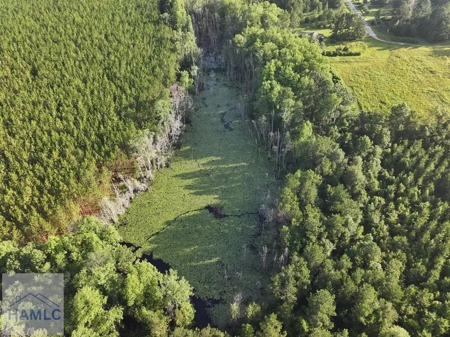 Tract 3 Oglethorpe Road, Jesup, GA 31545 - Image #3