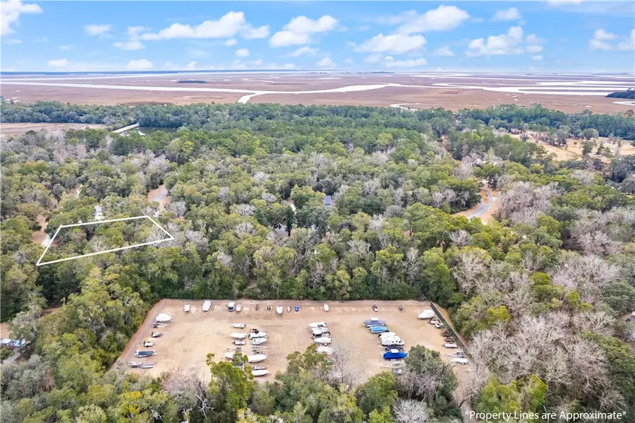 LOT 12 Carnochan Drive, Darien, GA 31305 - #2