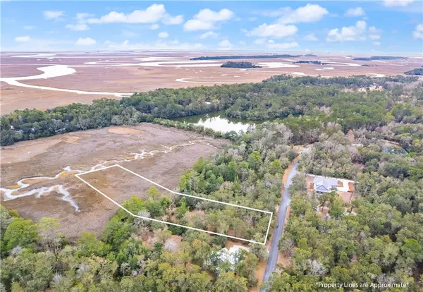 LOT 58 St. Joseph's Dr. Drive, Darien, GA 31305