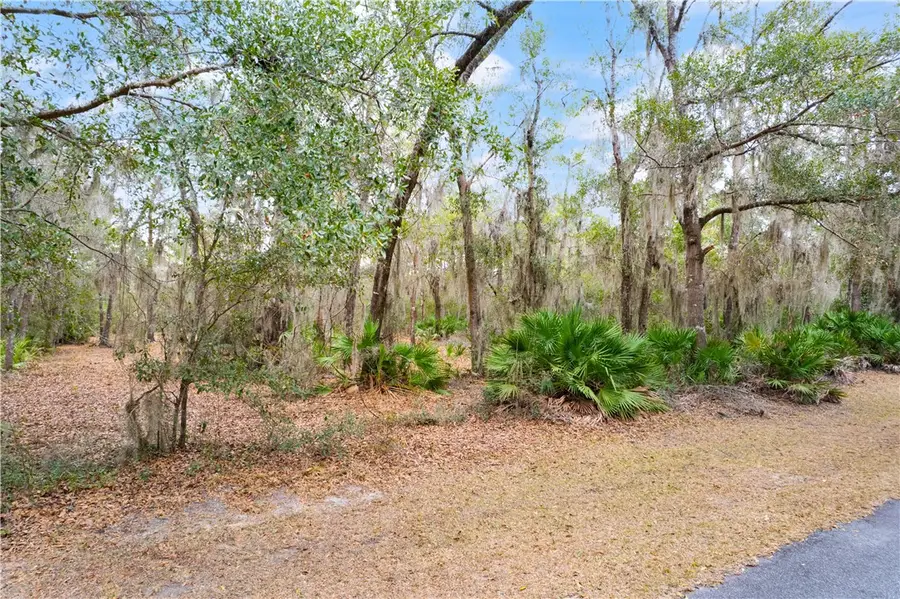 LOT 58 St. Joseph's Dr. Drive, Darien, GA 31305 - #2