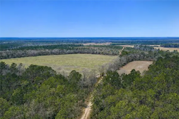 Tract 3 Reddish Road, Odum, GA 31555