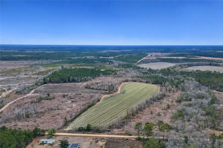 Tract 4 Reddish Road, Odum, GA 31555 - #2