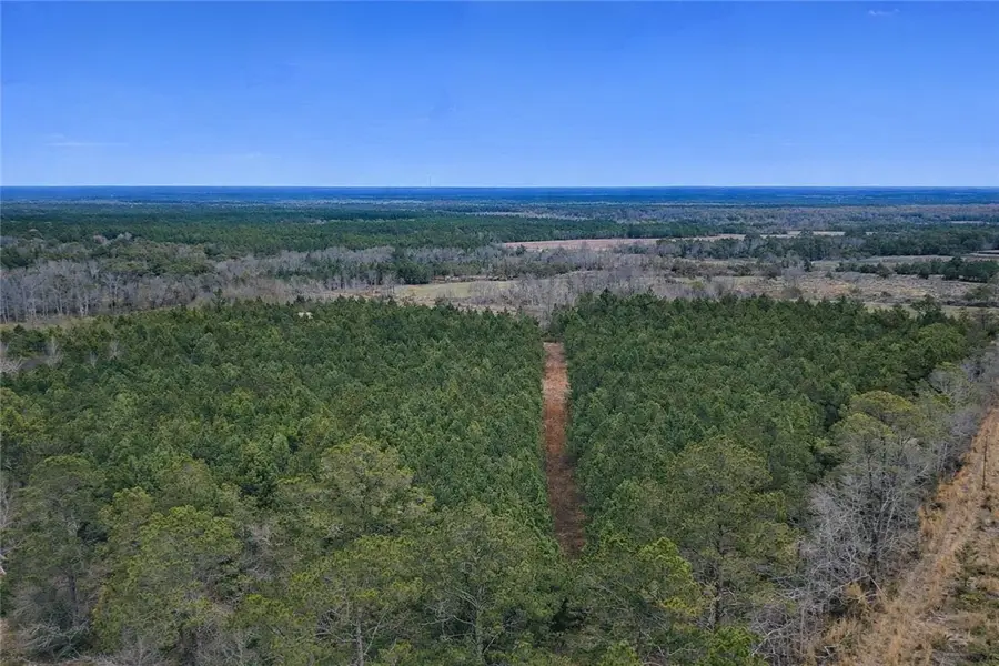 Tract 4 Reddish Road, Odum, GA 31555 - #3