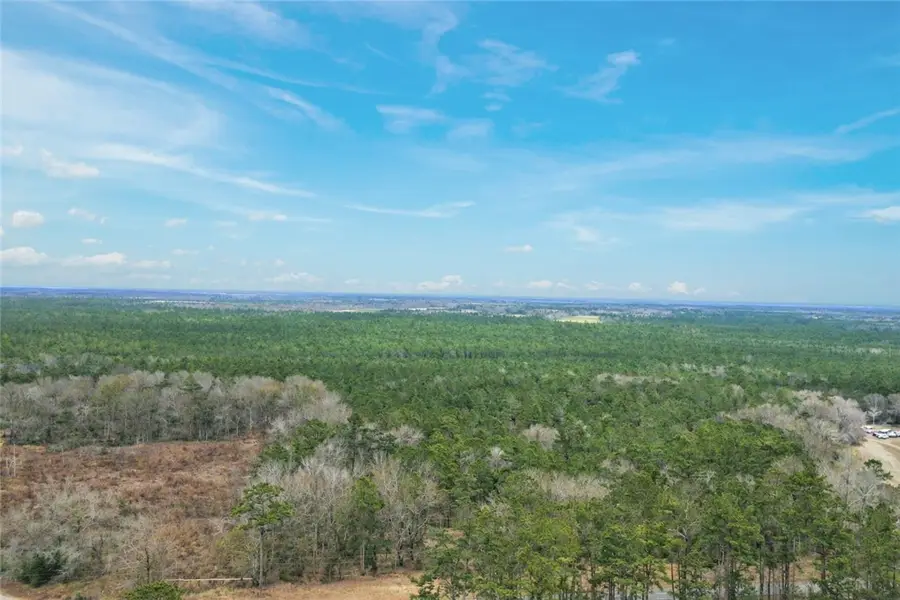 Tract 2 Tank Road, Odum, GA 31555 - Image #2