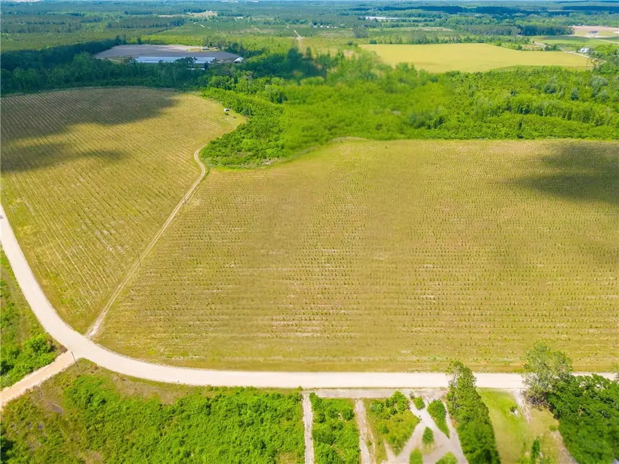 Tract 9 Sellers Road Nw, Baxley, GA 31513 - #2