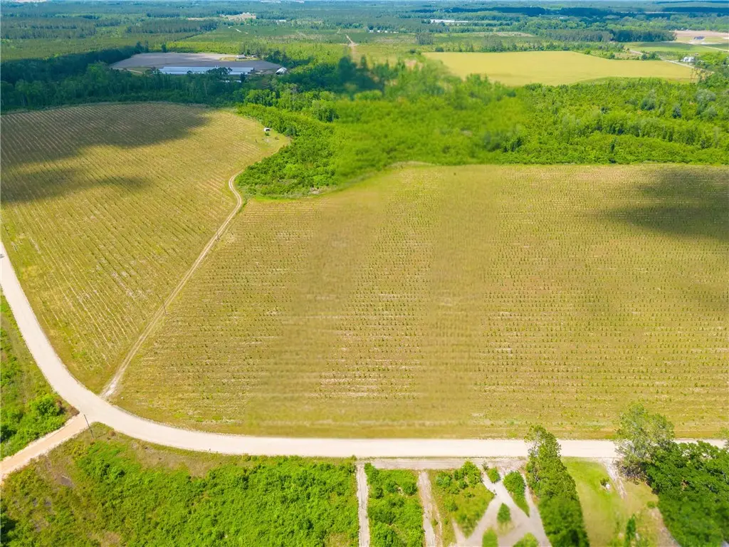 Tract 10 Sellers Road Nw, Baxley, GA 31513 - #1