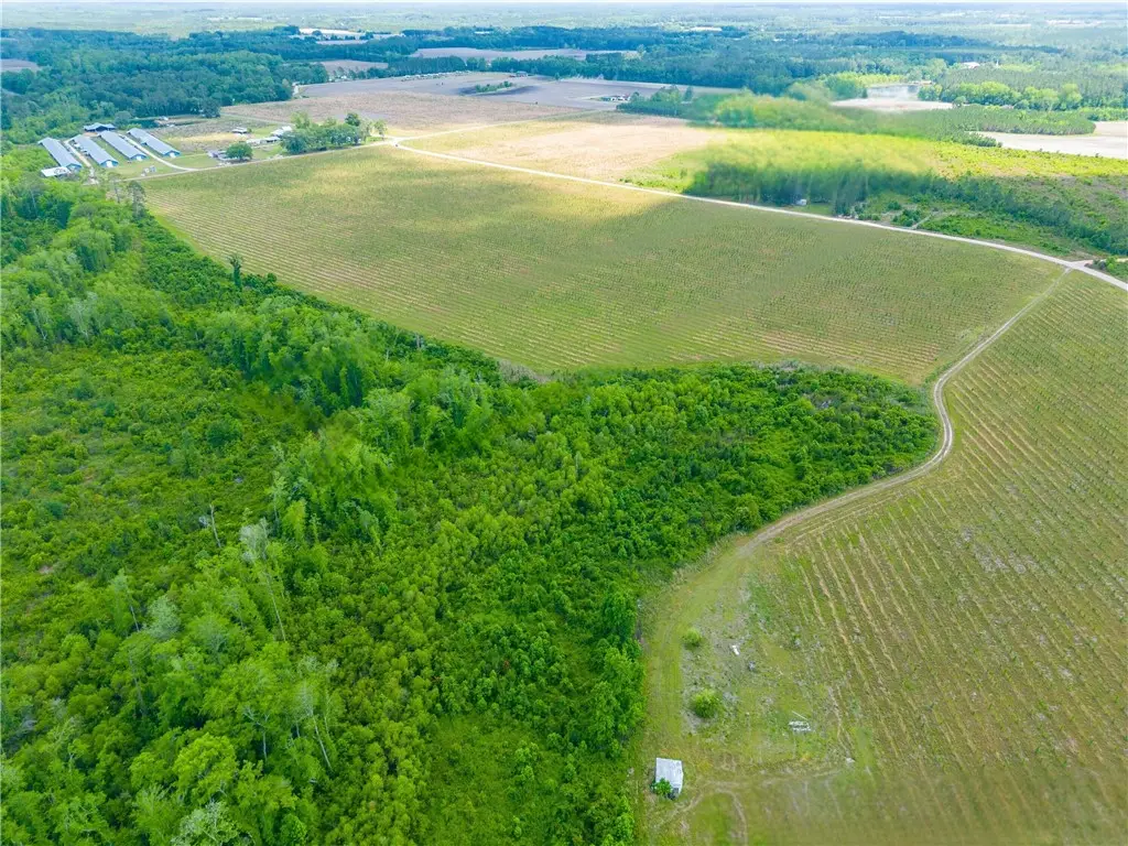 Tract 12 Sellers Road Nw, Baxley, GA 31513 - Image #1