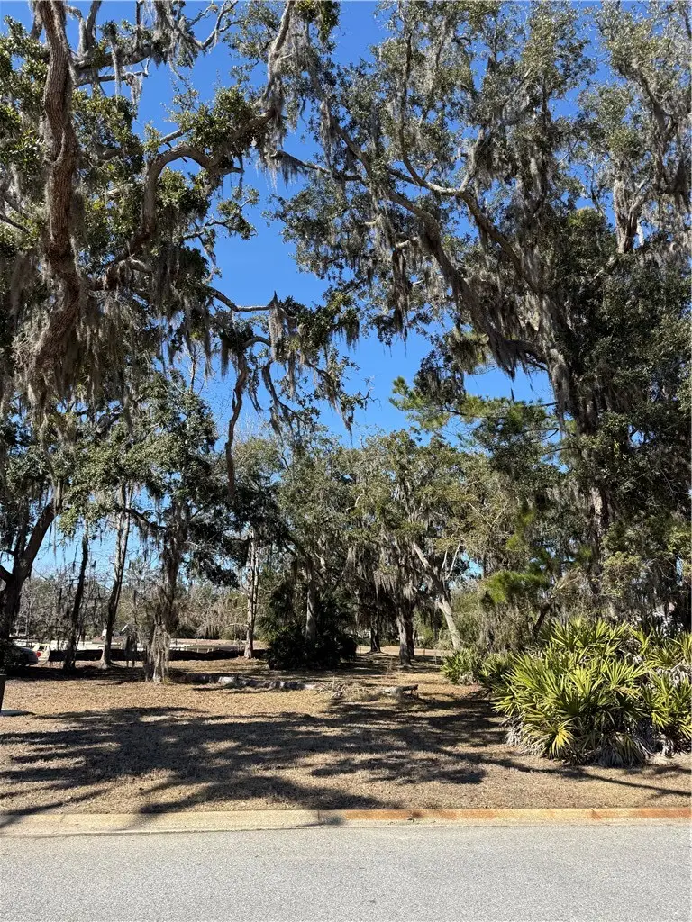 0 Maiden Creek Drive, Waverly, GA 31565 - #2