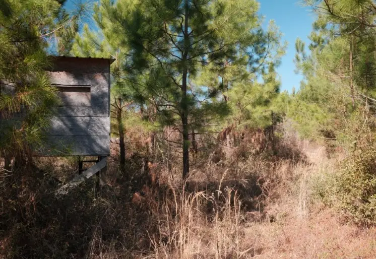 169 Johns Way, Nahunta, GA 31553 - #2