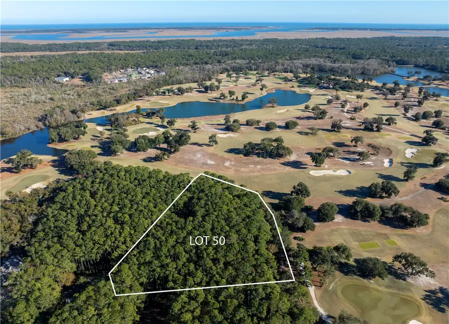 48 Marlin Lane, Saint Simons Island, GA 31522 - #3