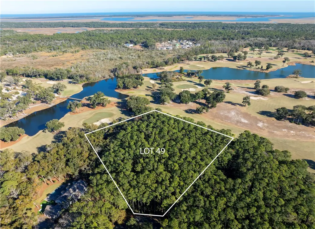 49 Marlin Lane, Saint Simons Island, GA 31522 - #1