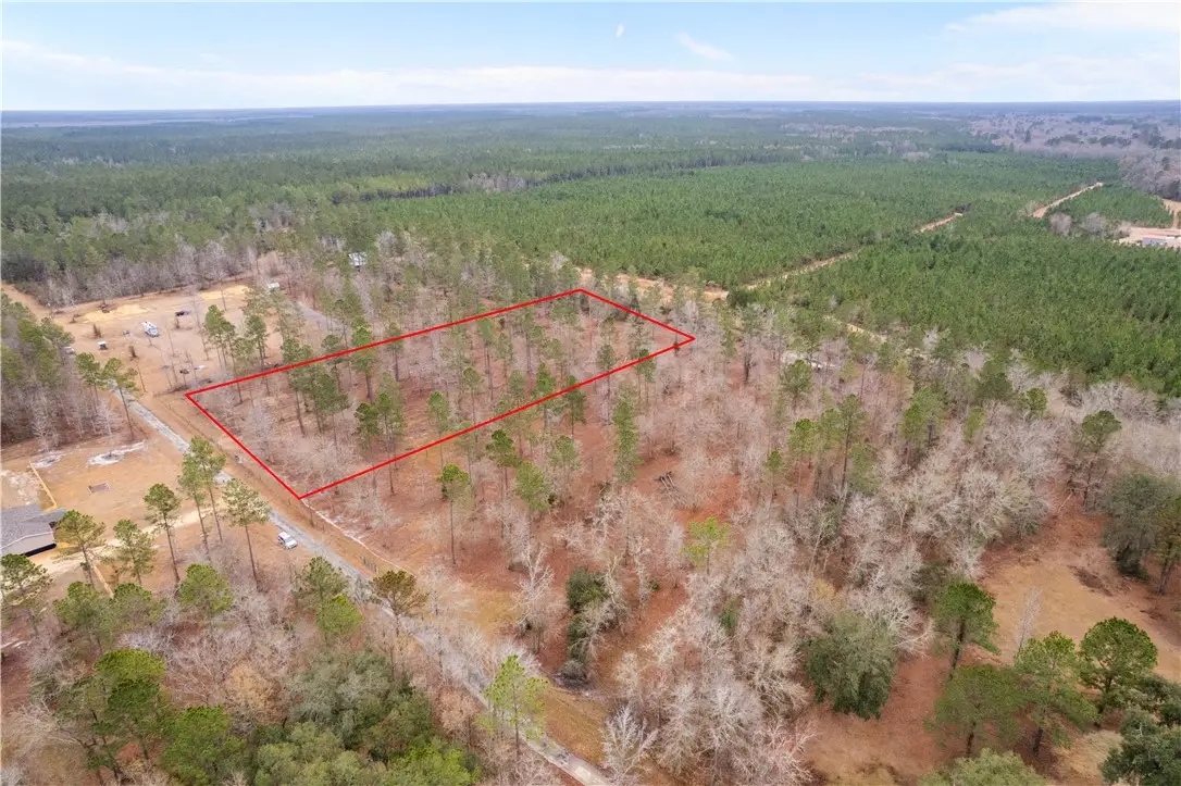 Tract 2 Loggan Lane, Jesup, GA 31546 - #1