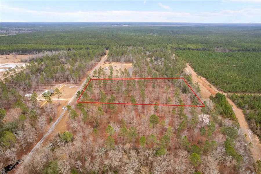 Tract 2 Loggan Lane, Jesup, GA 31546 - #3