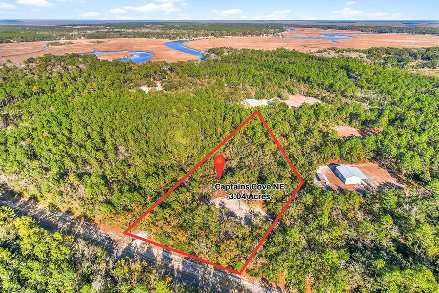 61 Captain's Cove Road Ne, Townsend, GA 31331 - #3