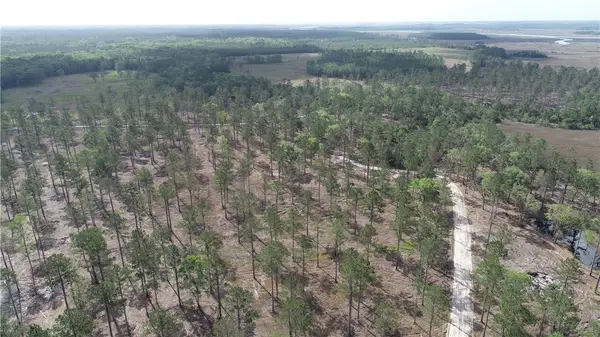 3009 Horse Stamp Church Road, Waverly, GA 31565