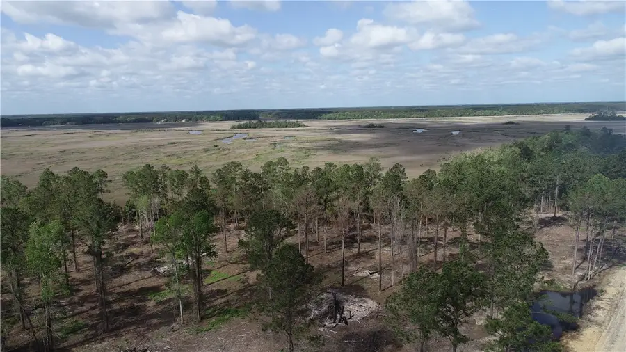 3009 Horse Stamp Church Road, Waverly, GA 31565 - #3