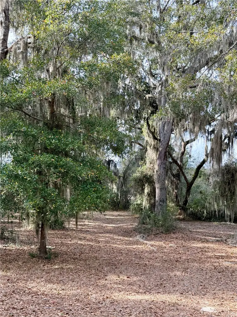 Lot 609 Sutherland Bluff Court Ne, Townsend, GA 31331 - #2