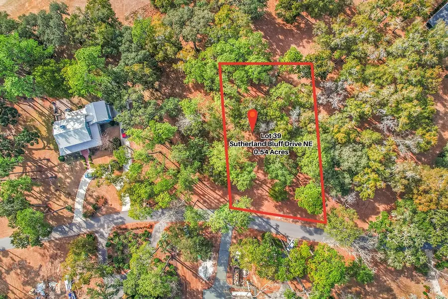 39 Sutherland Bluff Drive Ne, Townsend, GA 31331 - #2