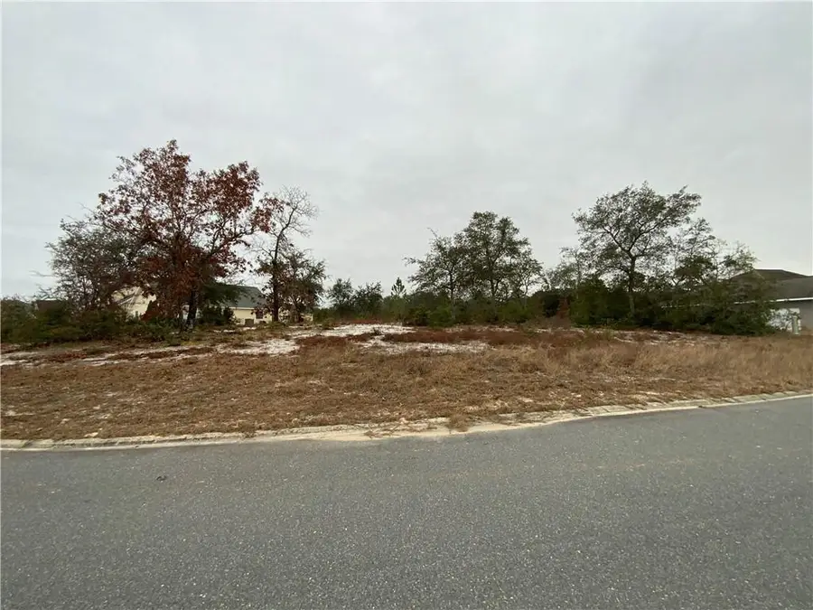 107 Plantation Pines Drive, Blackshear, GA 31503 - #3