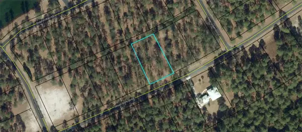 Lot 684 Wood Stork Drive Ne, Townsend, GA 31331