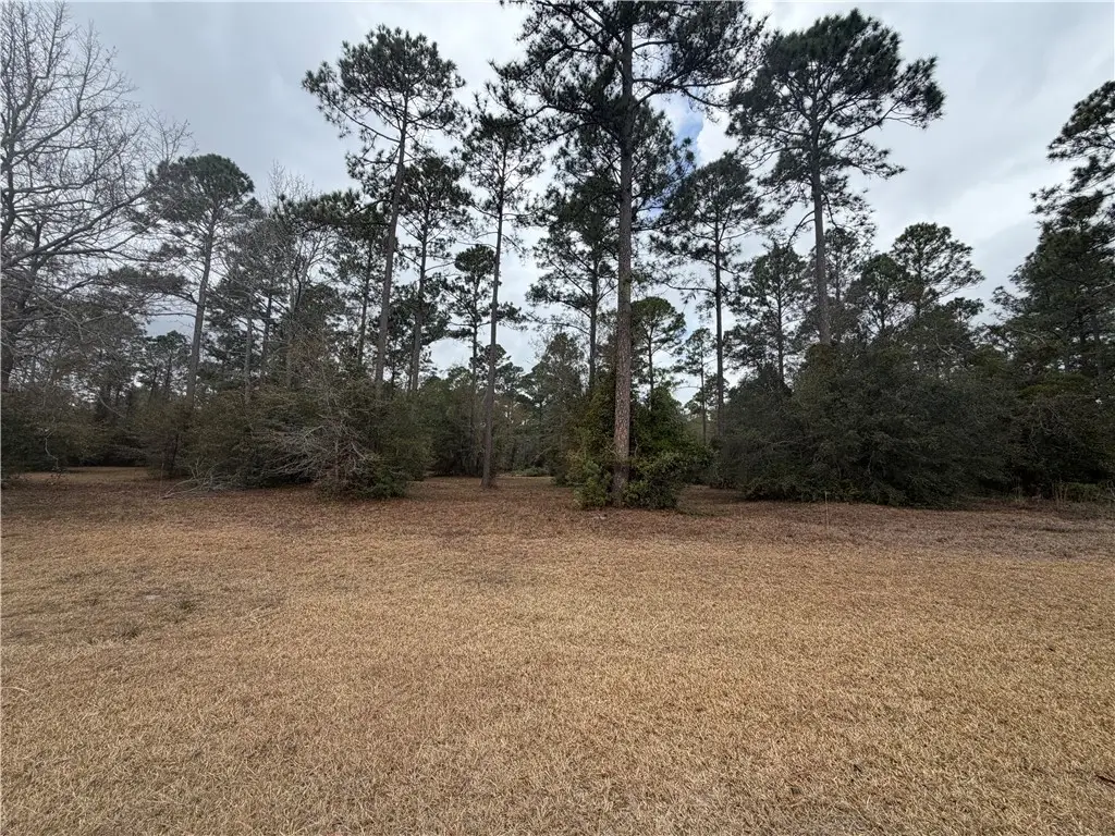 71 Cooper's Point Drive Ne, Townsend, GA 31331 - #1