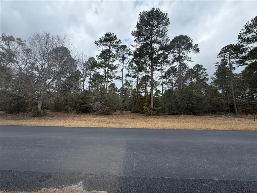 71 Cooper's Point Drive Ne, Townsend, GA 31331 - #2