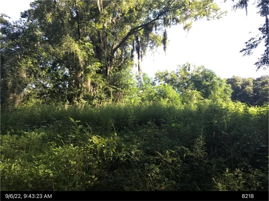 5282 Owens Road, Blackshear, GA 31516 - #1